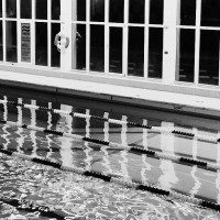 This weeks swimming session.